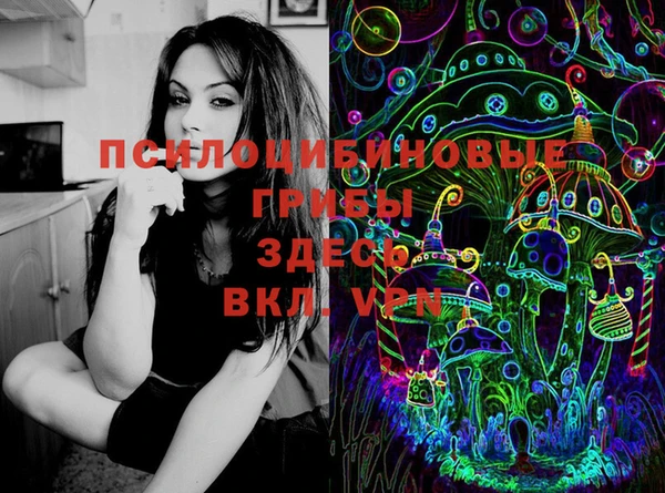 меф Медвежьегорск