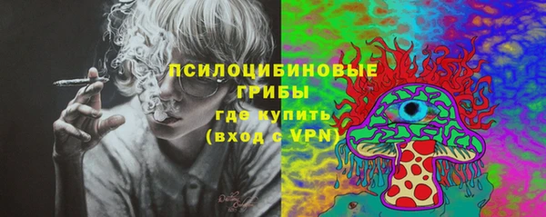 меф Медвежьегорск