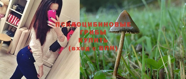 дурь Мегион